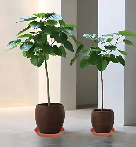Bleuhome 6 Pack of 10 inch Plant Saucer  Heavy Duty Plastic Plant Saucer 10"" Round  Plant Tray for Pots  Plant Saucers for Indoors  Plant Trays for Planter 8""/9""/10"" (10 inch  Terracotta) - Image 4